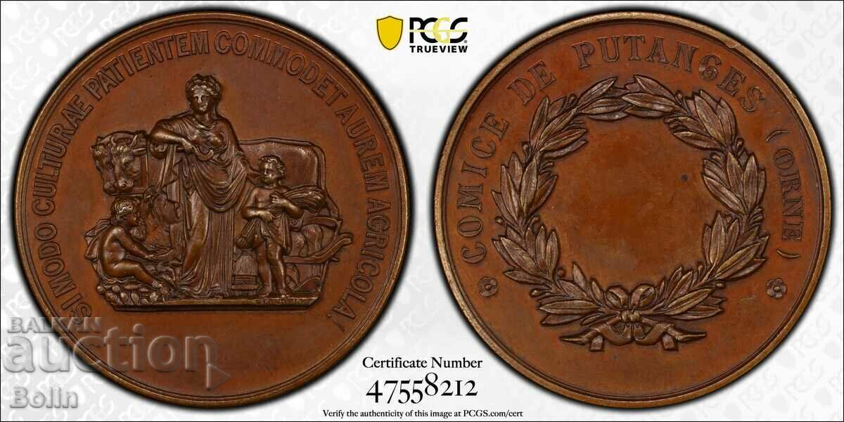 MS 64 - French Bronze Medal - Agricultural - 1880