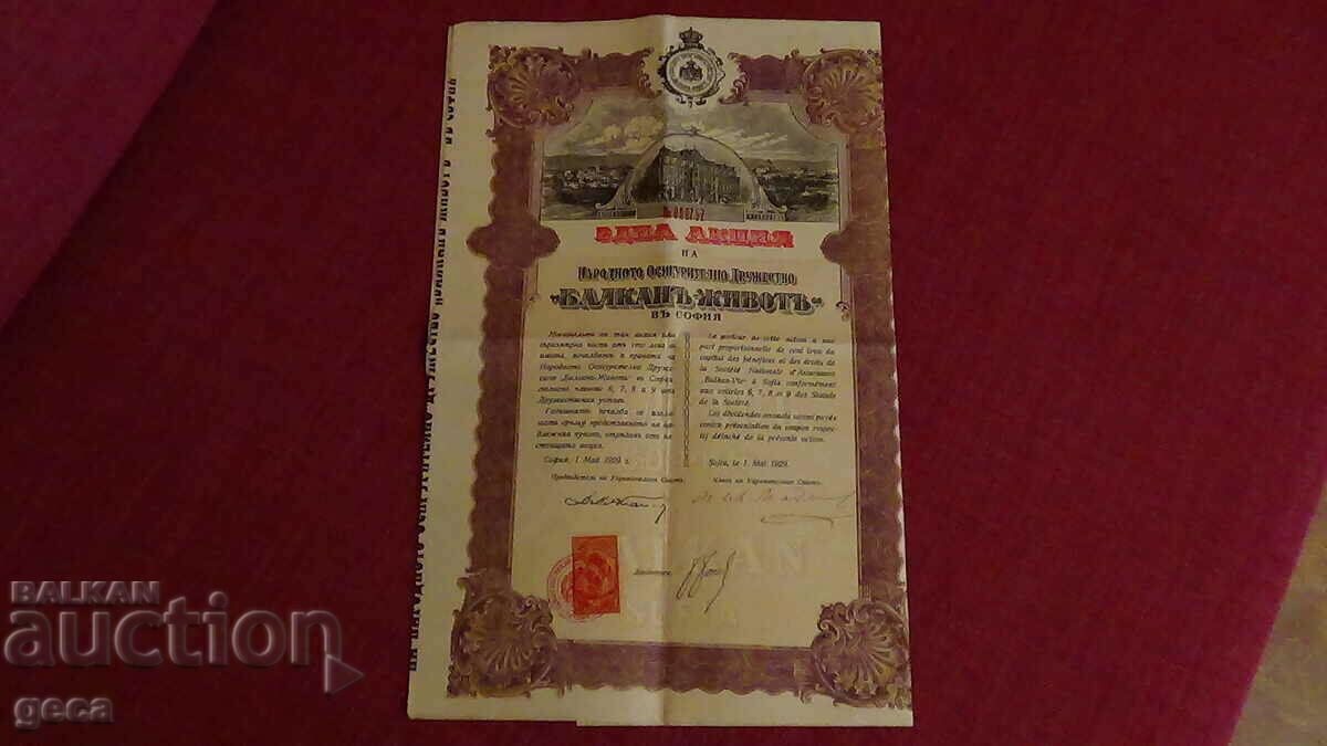 Balkan Insurance Company - Life / One share / 1929 - 7 Balkan Insurance Company - Life / One share / 1929 - 7