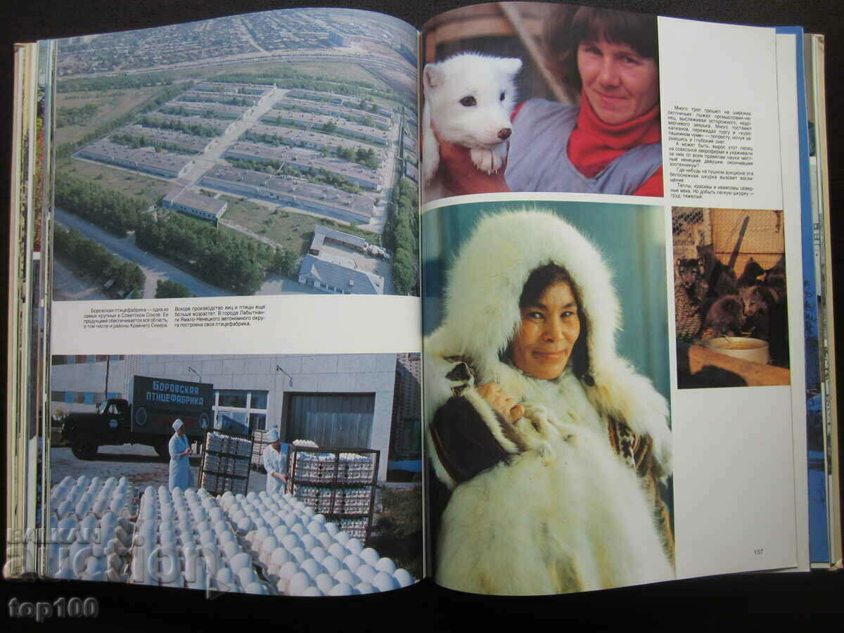 Delivery of SIBERIAN GIRL - FLOWER ALBUM 1986 BZC !!!