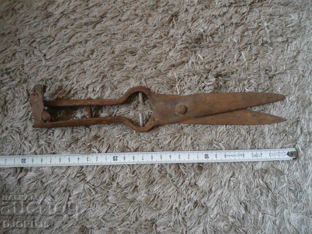 Auction Old forged scissors, interior Auction Old forged scissors, interior