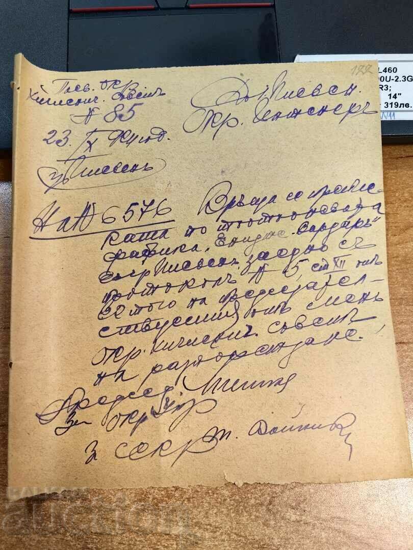 1924 PLEVEN CONSILIUL DE IGIENĂ DOCUMENT REGATUL BULGARIA