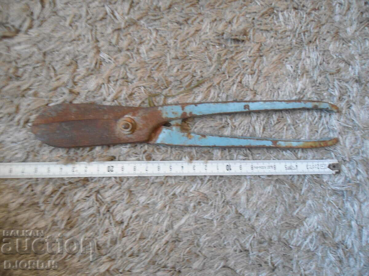 Auction  Old scissors