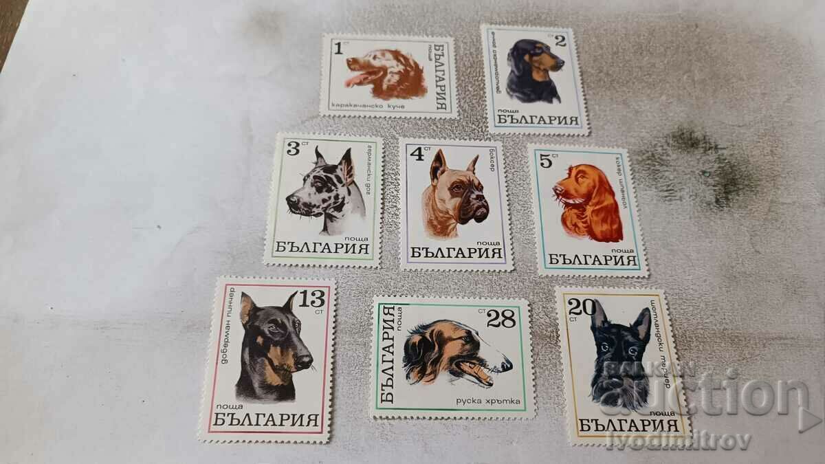 Пощенски марки НРБ Кучета