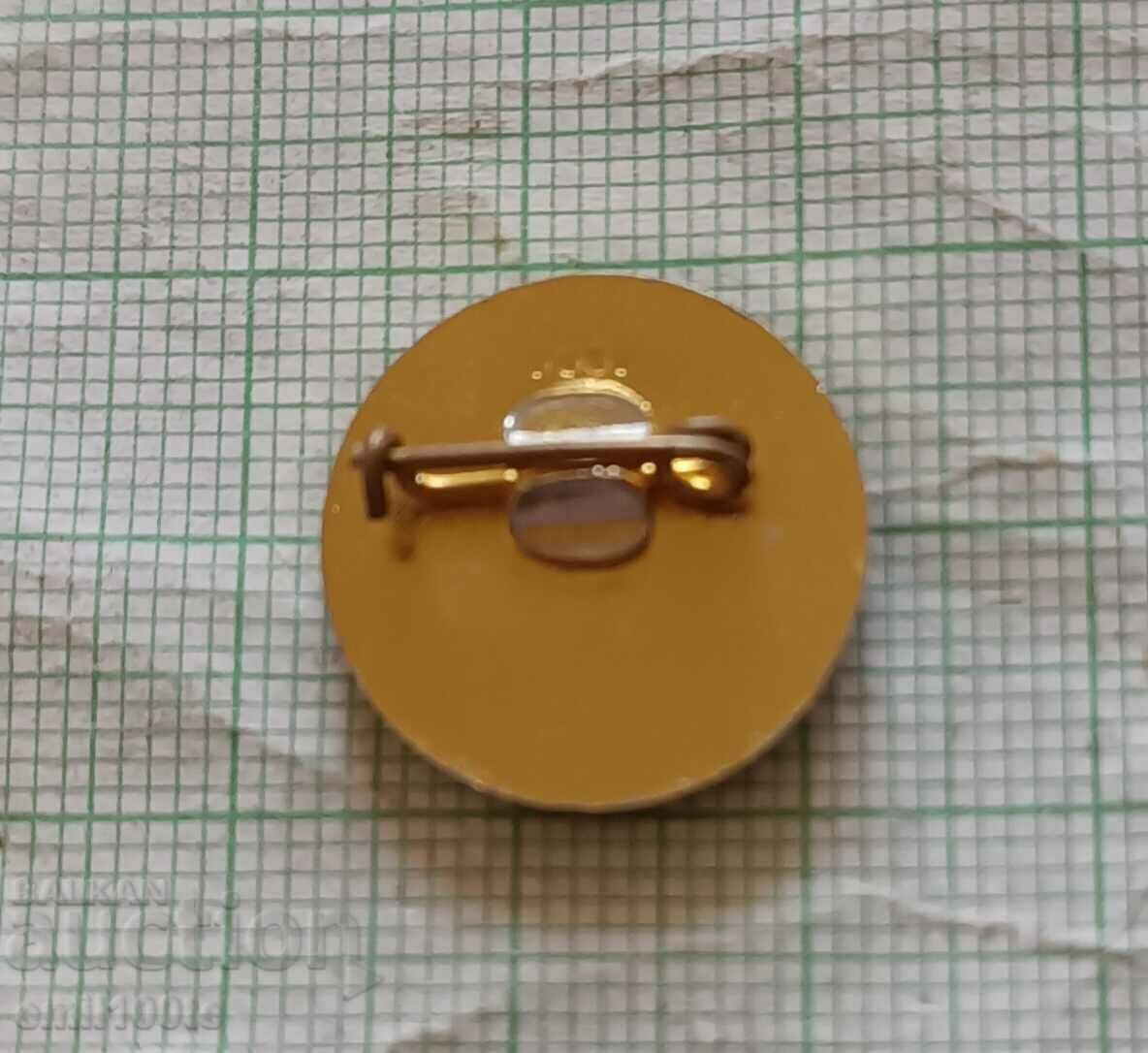 Delivery of Badge - Figure skating tournament Druzhba 84