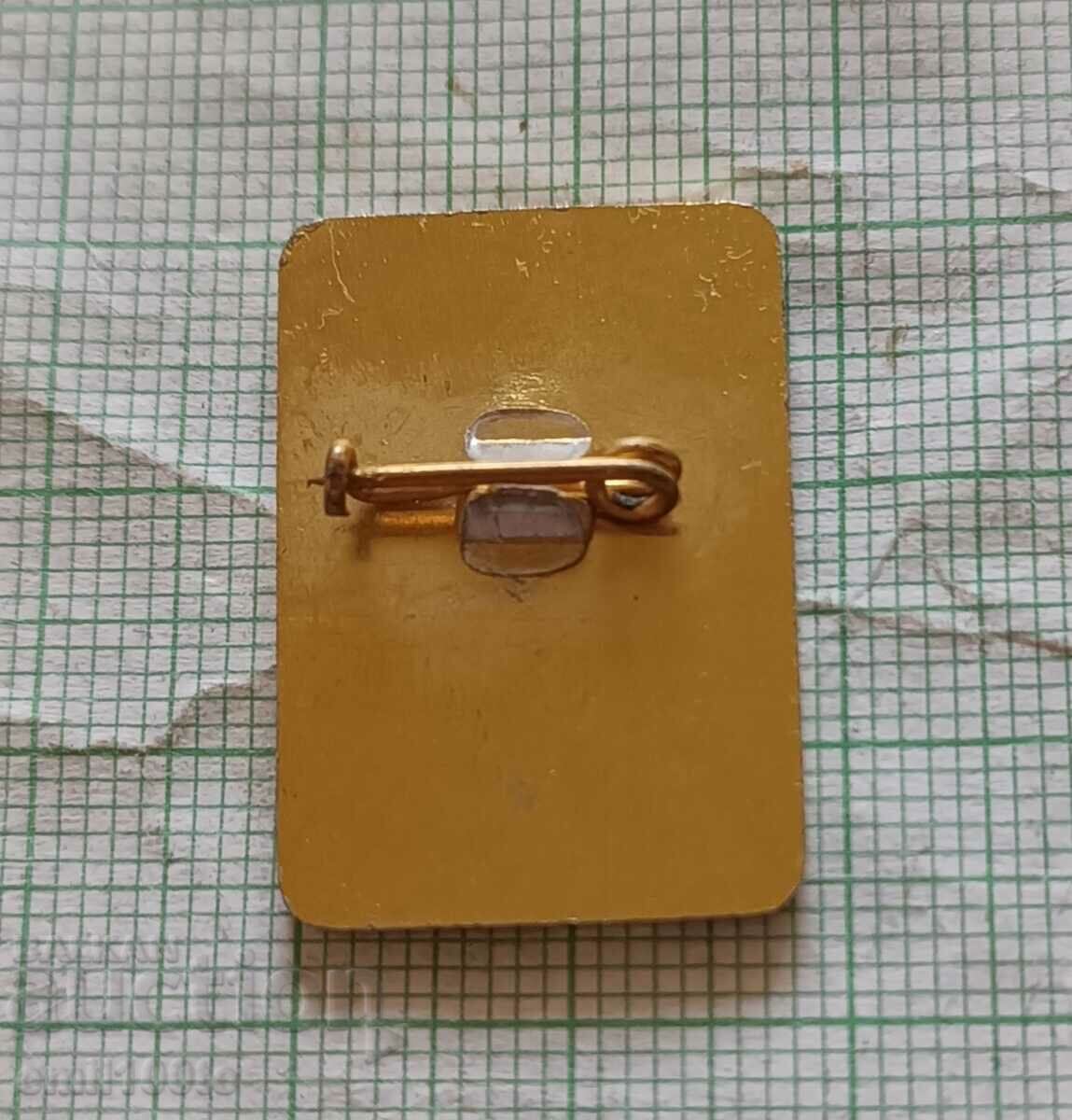 Delivery of Badge - Volleyball girls tournament Druzhba Pravets 1989 Delivery of Badge - Volleyball girls tournament Druzhba Pravets 1989