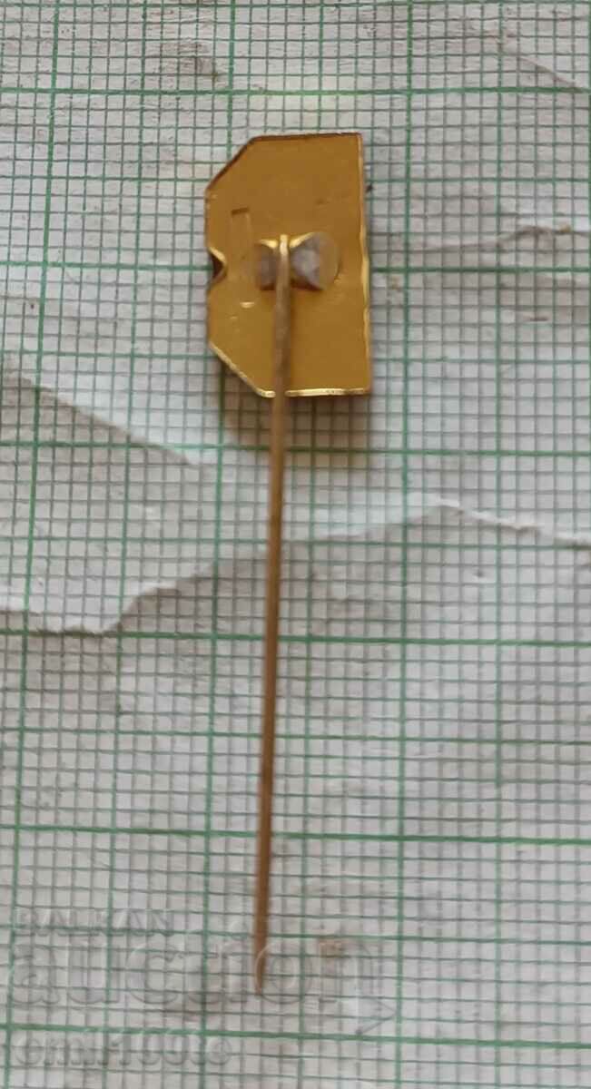 Delivery of Badge - Volleyball Delivery of Badge - Volleyball