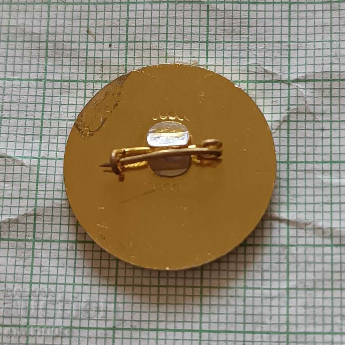 Delivery of Badge - Gymnastics