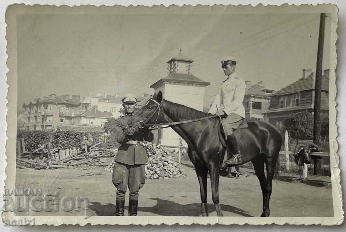 Sofia Officer of Horse Stables