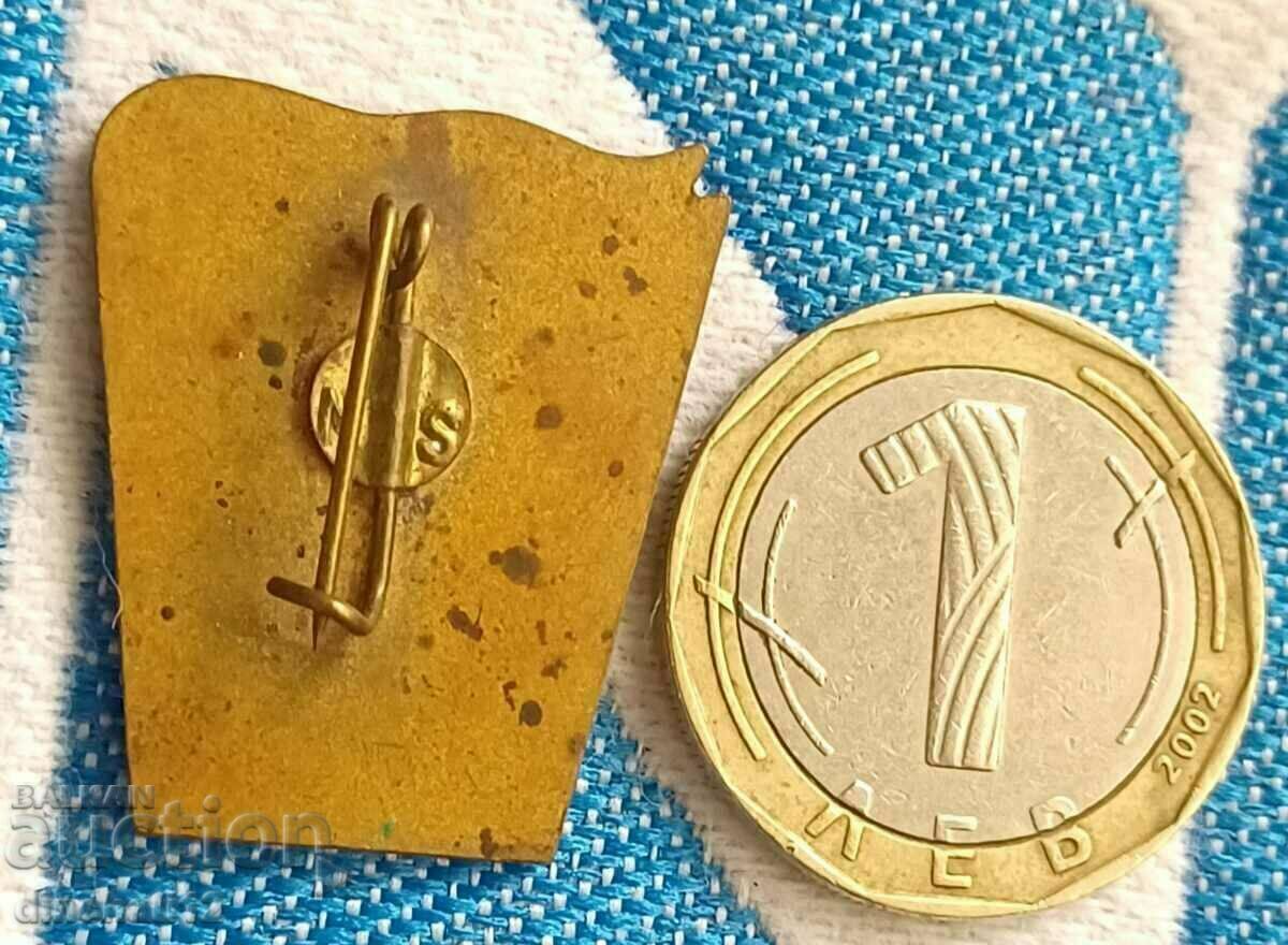 Auction Badge. LICEUL PEDAGOGIC. CRAIOVA 1870 - 1970 Auction Badge. LICEUL PEDAGOGIC. CRAIOVA 1870 - 1970