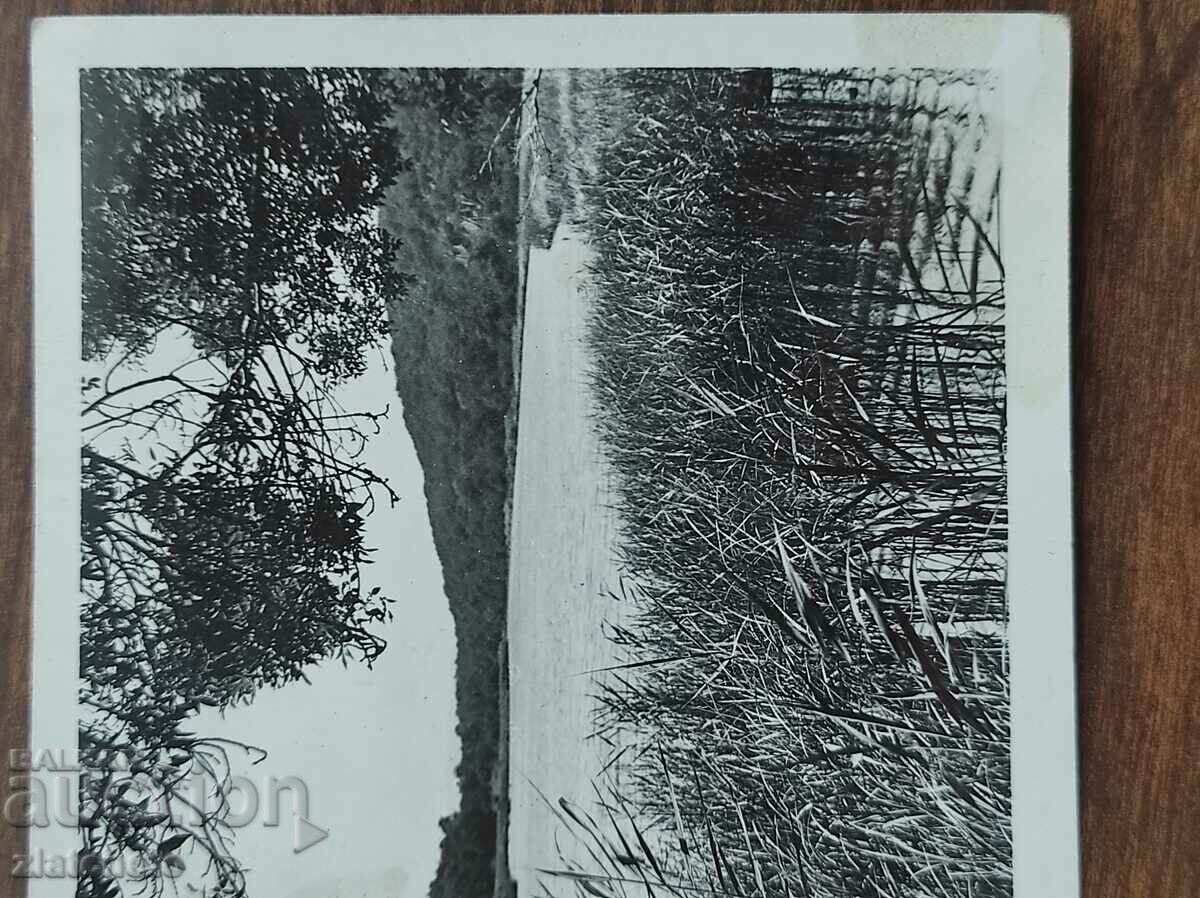 Old photo Kingdom of Bulgaria - author's photo with price 20.00 BGN | € 10.23 Old photo Kingdom of Bulgaria - author's photo with price 20.00 BGN | € 10.23