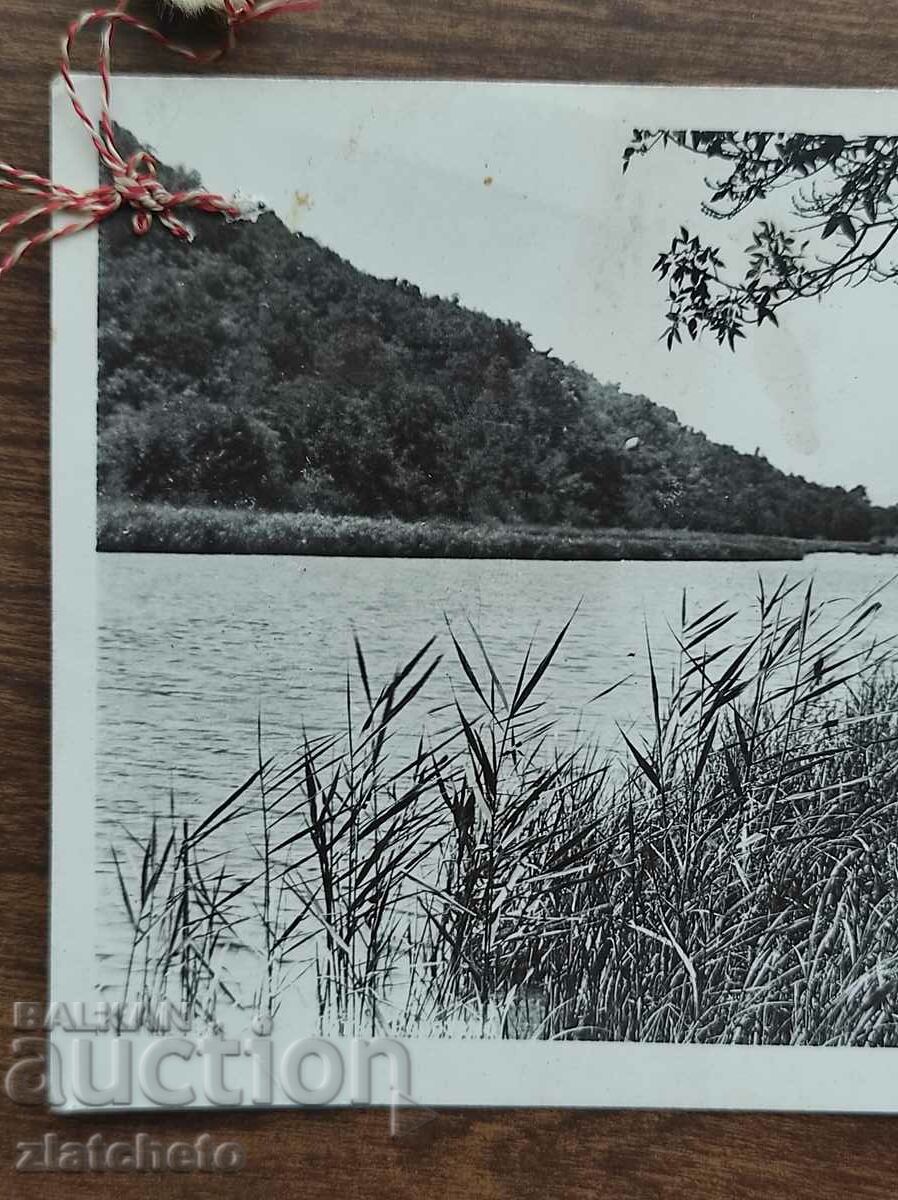 Auction Old photo Kingdom of Bulgaria - author's photo Auction Old photo Kingdom of Bulgaria - author's photo