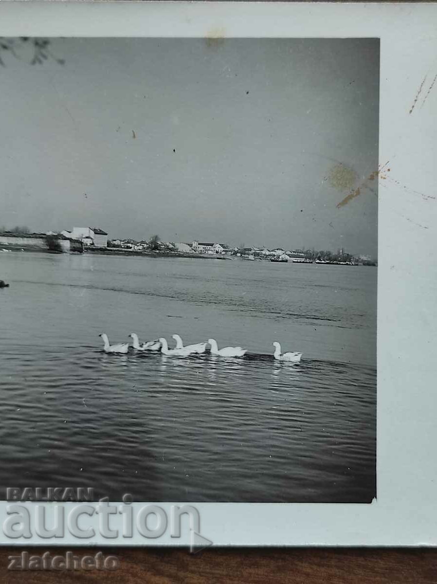 Old photo Kingdom of Bulgaria - author's photo with price 20.00 BGN | € 10.23