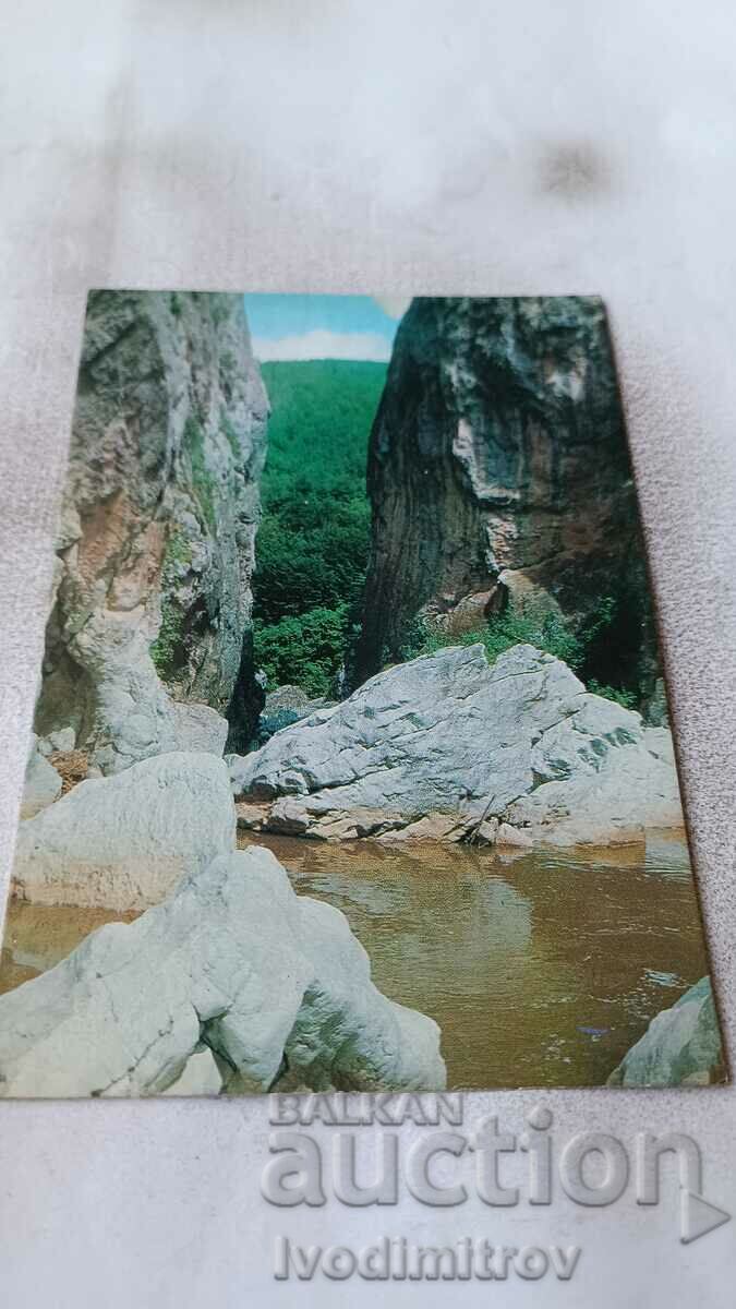 Καρτ ποστάλ Thorn Erma River Gorge 1980