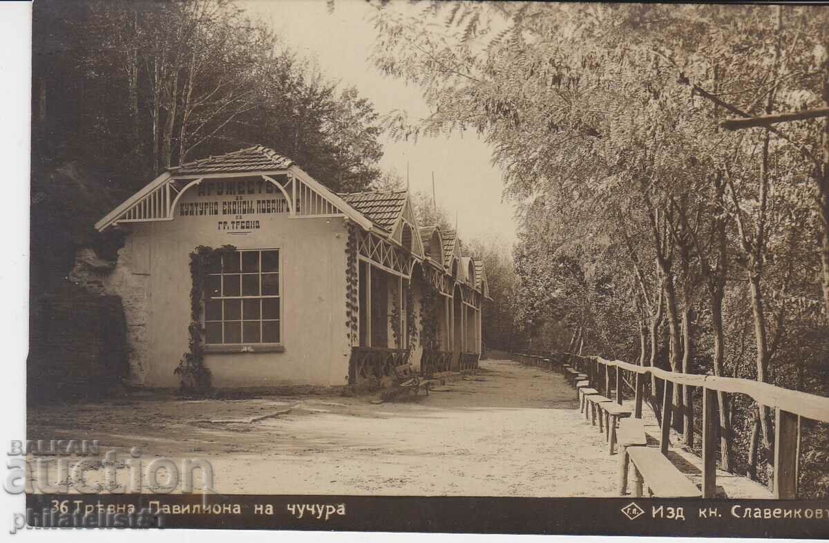 ТРЯВНА КАРТИЧКА - ИЗГЛЕД около 1929