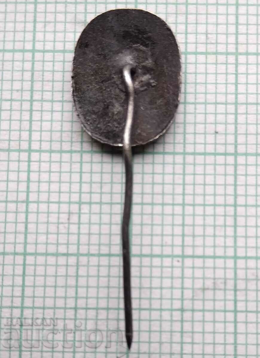 Auction  15941 Badge - Gabrovo