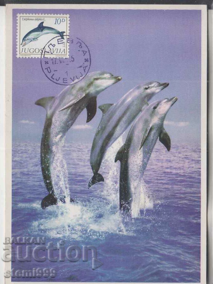 Postcard FDC WWF Dolphins