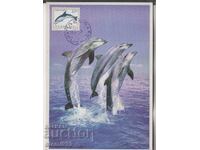 Postcard FDC WWF Dolphins
