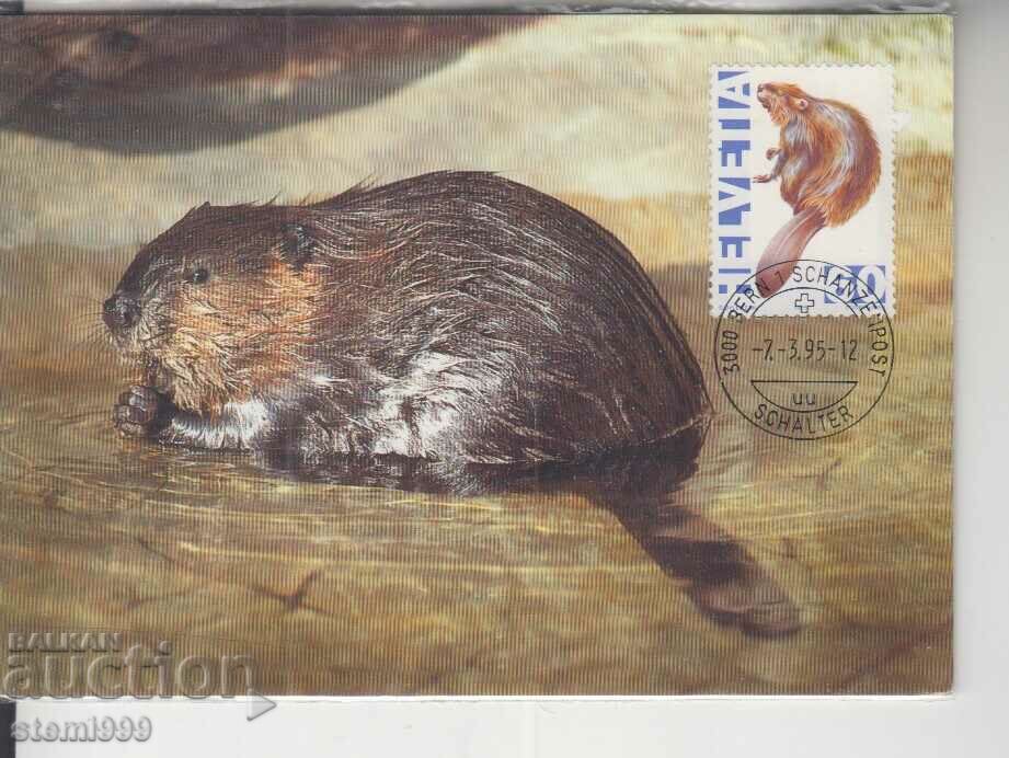 Postcard FDC Animals Beaver