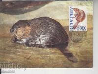 Postcard FDC Animals Beaver