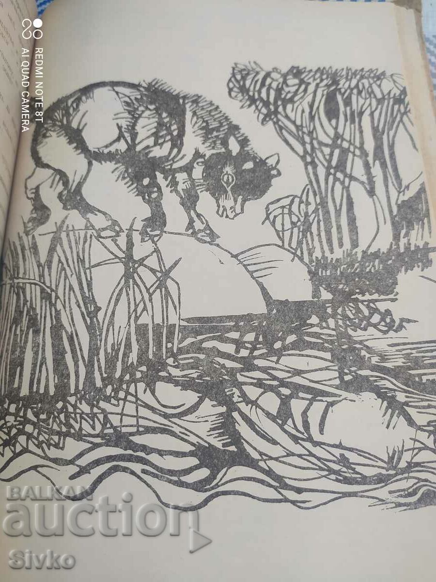 Δημοπρασία Teremok, ιστορίες των λαών της ΕΣΣΔ, ρωσική γλώσσα, εικονογραφήσεις Δημοπρασία Teremok, ιστορίες των λαών της ΕΣΣΔ, ρωσική γλώσσα, εικονογραφήσεις