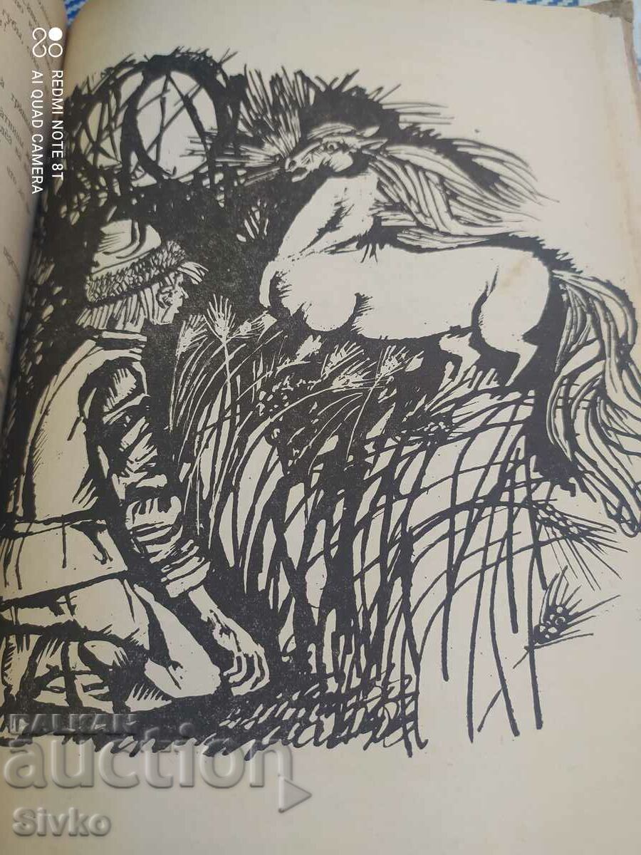 Παράδοση Teremok, ιστορίες των λαών της ΕΣΣΔ, ρωσική γλώσσα, εικονογραφήσεις Παράδοση Teremok, ιστορίες των λαών της ΕΣΣΔ, ρωσική γλώσσα, εικονογραφήσεις