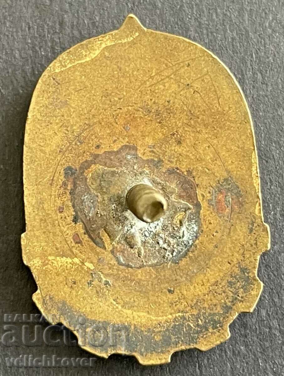 37388 Bulgaria sign Young Technician enamel screw 50s. with price 15.00 BGN | € 7.67 37388 Bulgaria sign Young Technician enamel screw 50s. with price 15.00 BGN | € 7.67