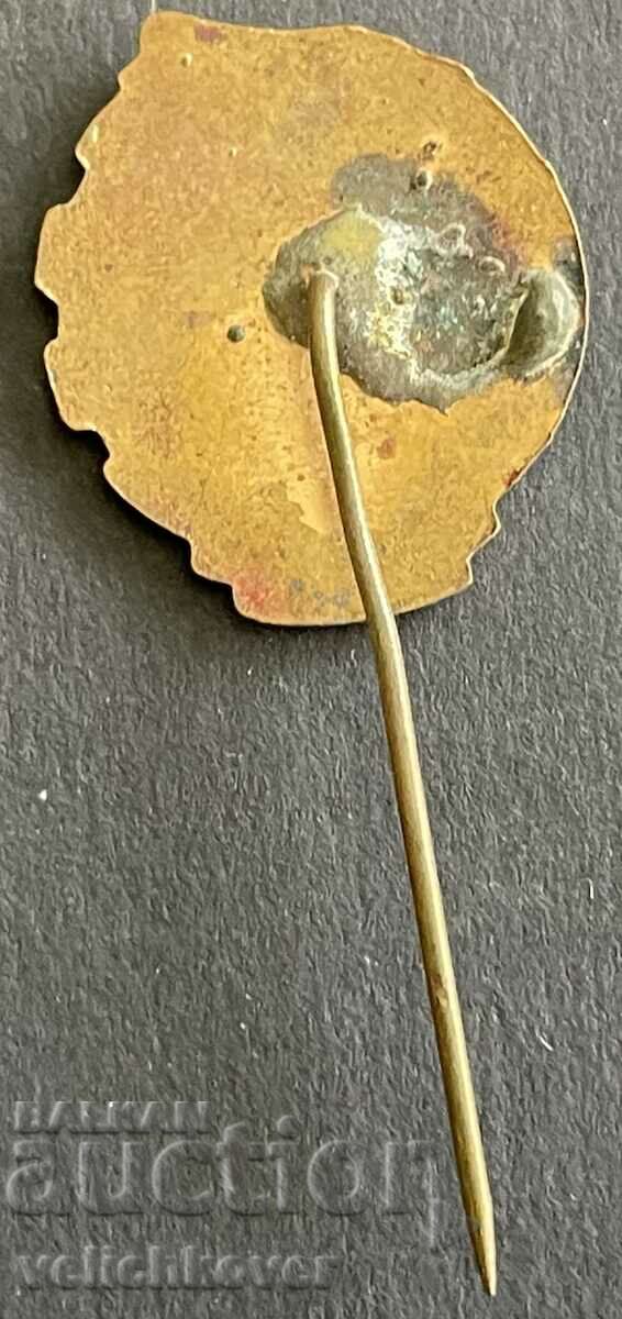 37389 Bulgaria DOSO sign Ready for PVCO enamel 1950s with price 8.00 BGN | € 4.09