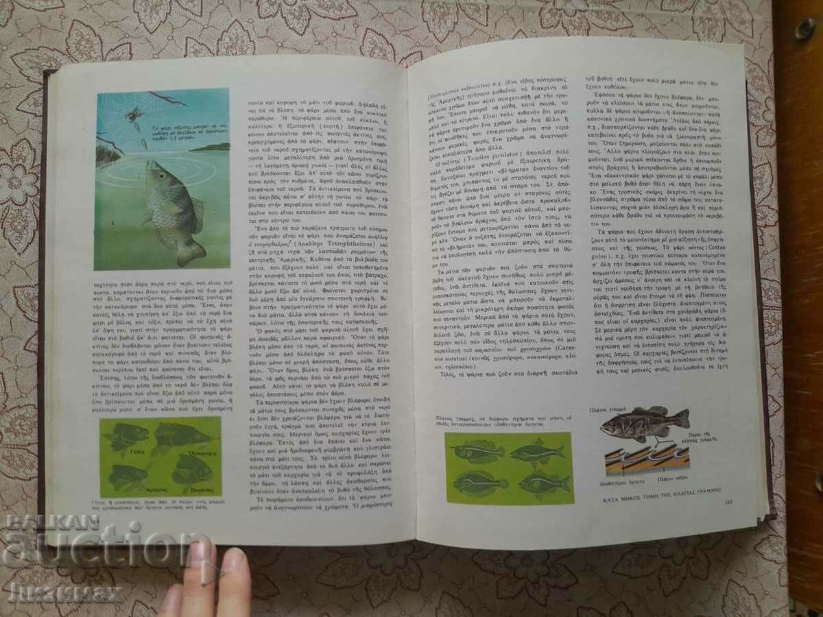 O kosmos ton fiton & ton zoon - 5 O kosmos ton fiton & ton zoon - 5