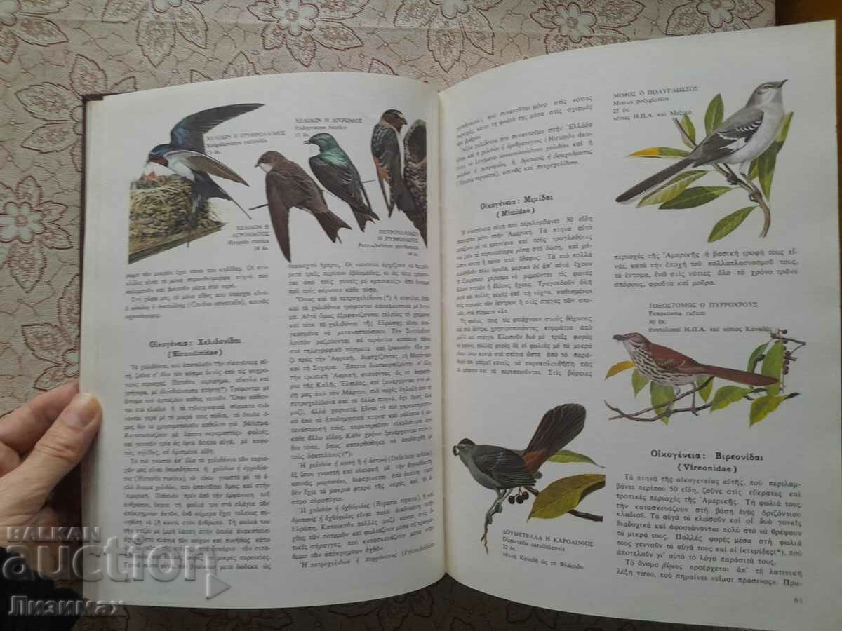 O kosmos ton fiton & ton zoon - 7 O kosmos ton fiton & ton zoon - 7