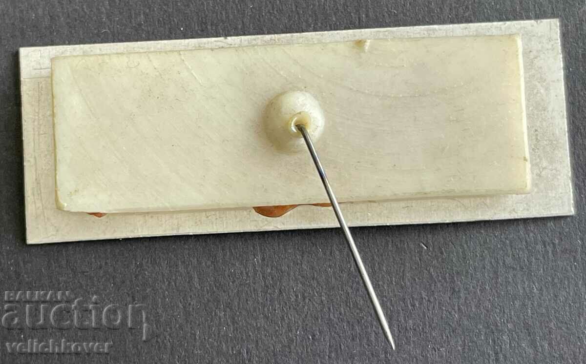 37433 Bulgaria June 2 Hristo Botev Oath of Bulgarian students with price 4.00 BGN | € 2.05 37433 Bulgaria June 2 Hristo Botev Oath of Bulgarian students with price 4.00 BGN | € 2.05