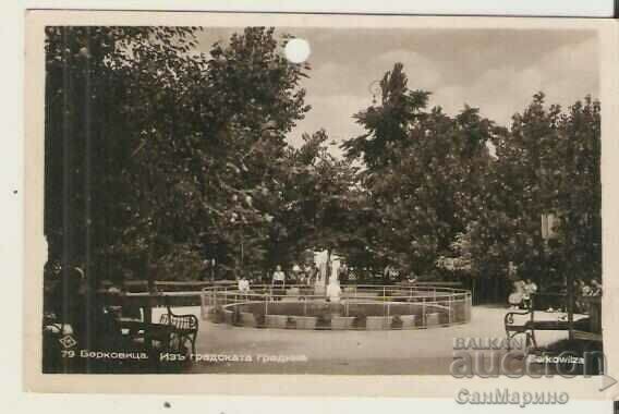 Κάρτα Bulgaria Berkovitsa City Garden*