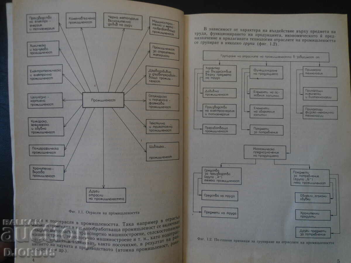 Delivery of Economy and organization of industry