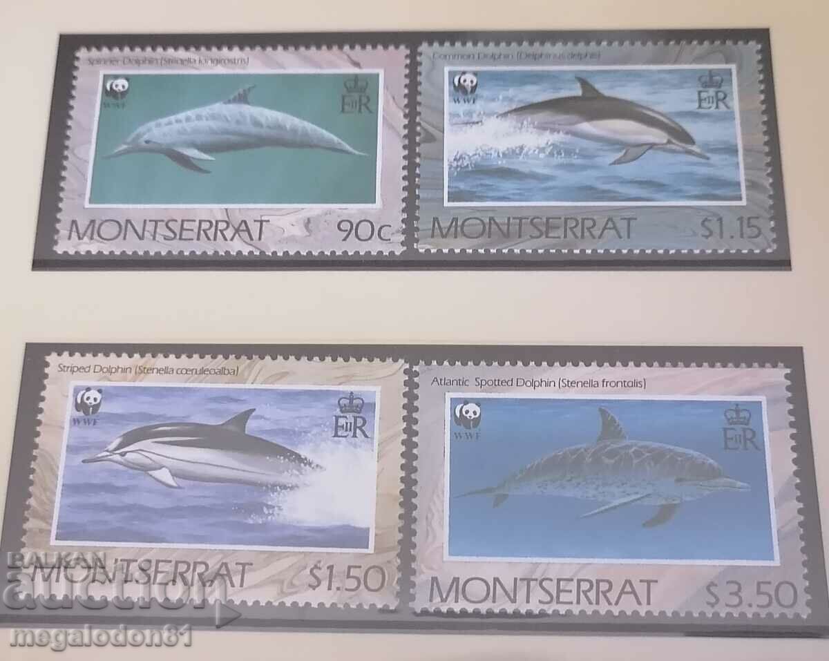 Μονσεράτ - WWF, προστατευόμενη πανίδα, δελφίνια