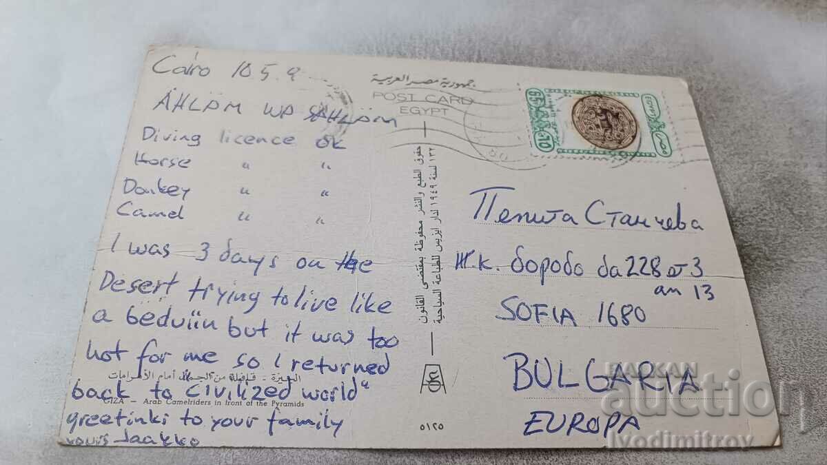 P K Giza Arab Camelriders in front of the Pyranids 1981 with price 0.85 BGN | € 0.43 P K Giza Arab Camelriders in front of the Pyranids 1981 with price 0.85 BGN | € 0.43