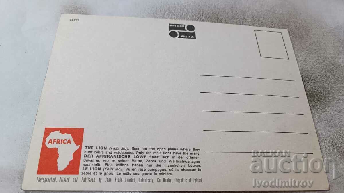 Lions postcard with price 0.85 BGN | € 0.43