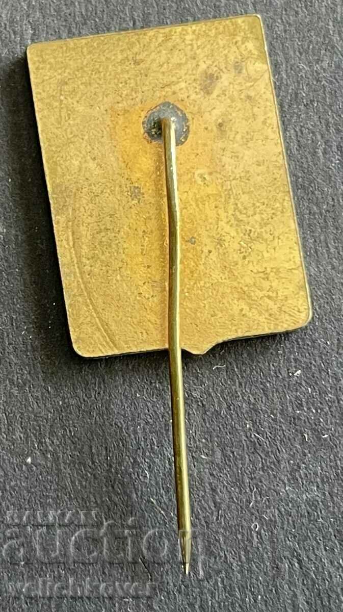 37447 Bulgaria sign coat of arms city of Kardzhali with price 5.00 BGN | € 2.56 37447 Bulgaria sign coat of arms city of Kardzhali with price 5.00 BGN | € 2.56