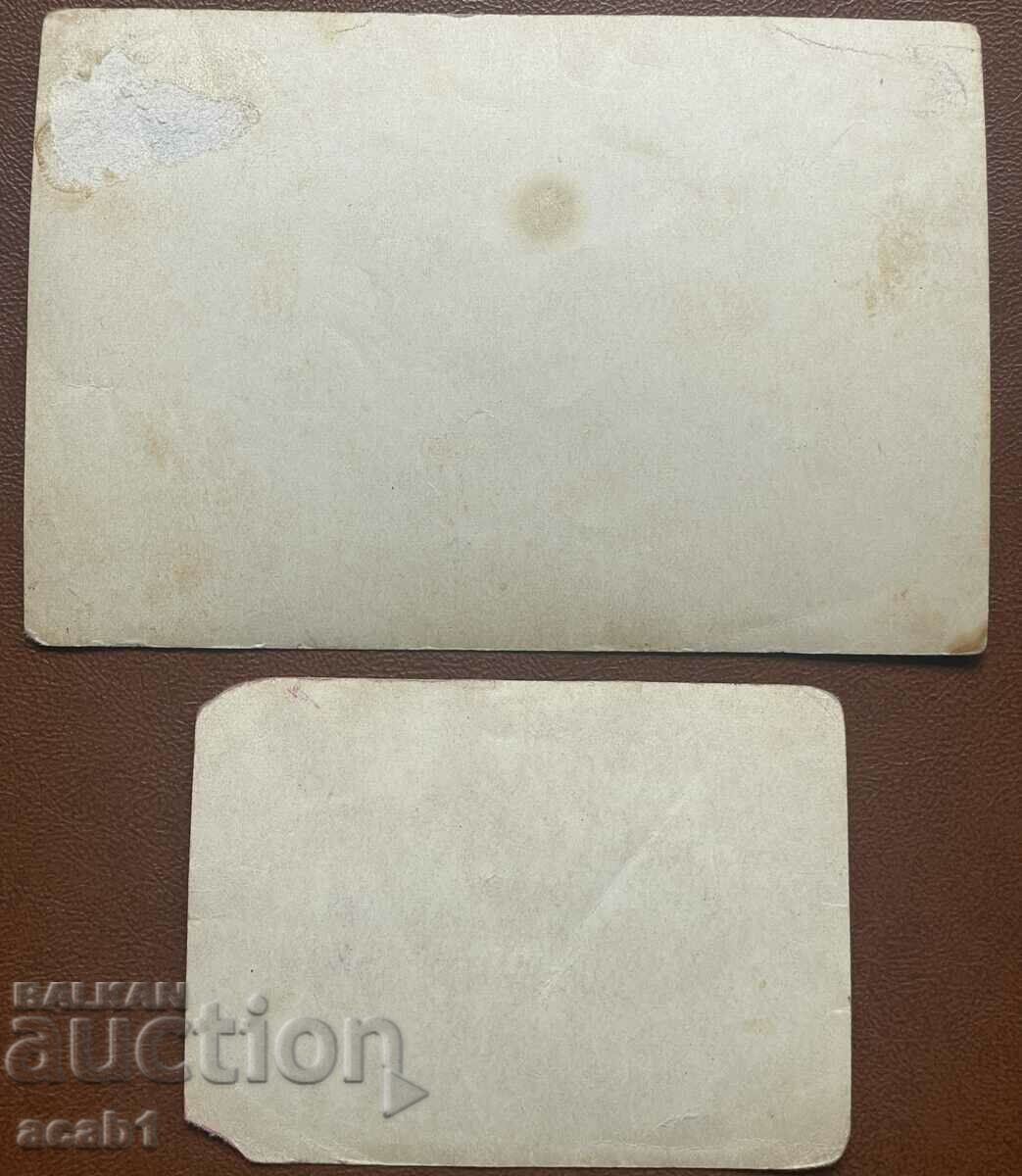 Tulip garden with price 14.99 BGN | € 7.66 Tulip garden with price 14.99 BGN | € 7.66