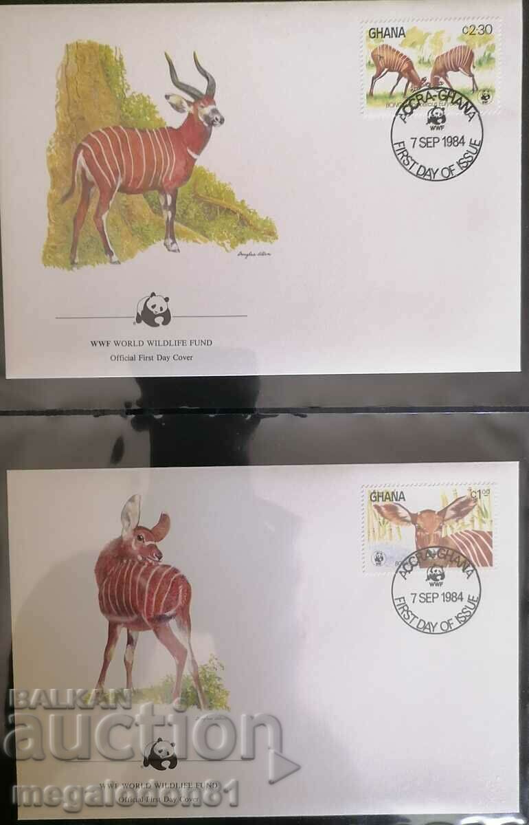 Ghana - WWF fauna, antelope