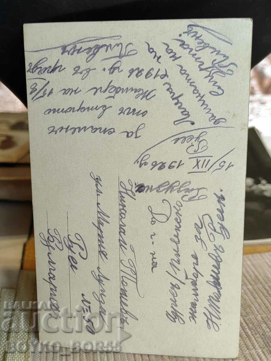 Old Photo Scout Jamboree 8/15/1926 Pleven with price 45.00 BGN | € 23.01