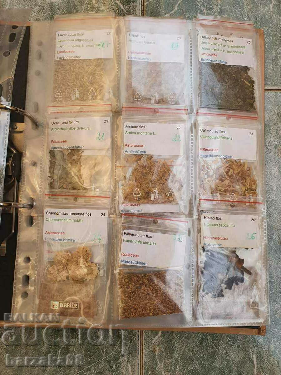 Delivery of Old album Folder with about 100 types of herbs Delivery of Old album Folder with about 100 types of herbs