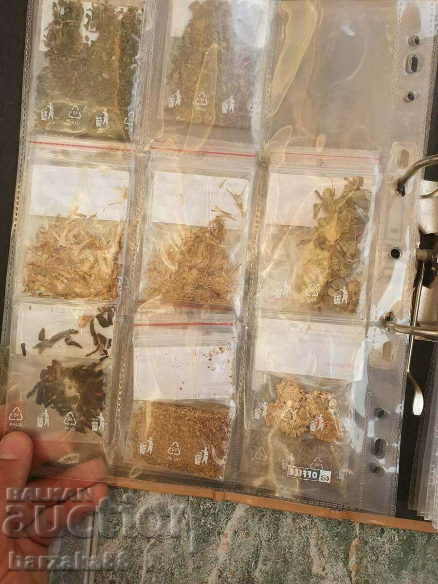 Old album Folder with about 100 types of herbs - 5 Old album Folder with about 100 types of herbs - 5