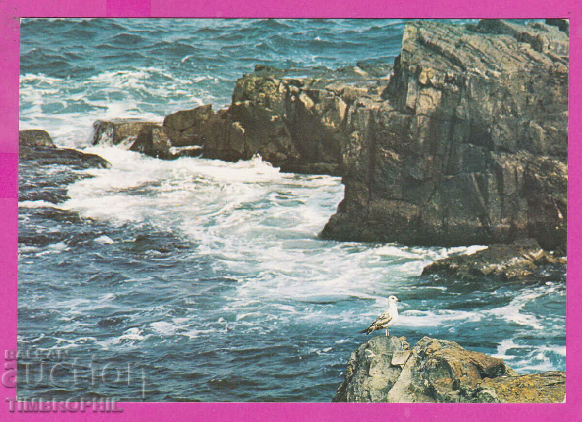 Auction  311488 / Black sea coast - Rocks and glarus PK Septemvri