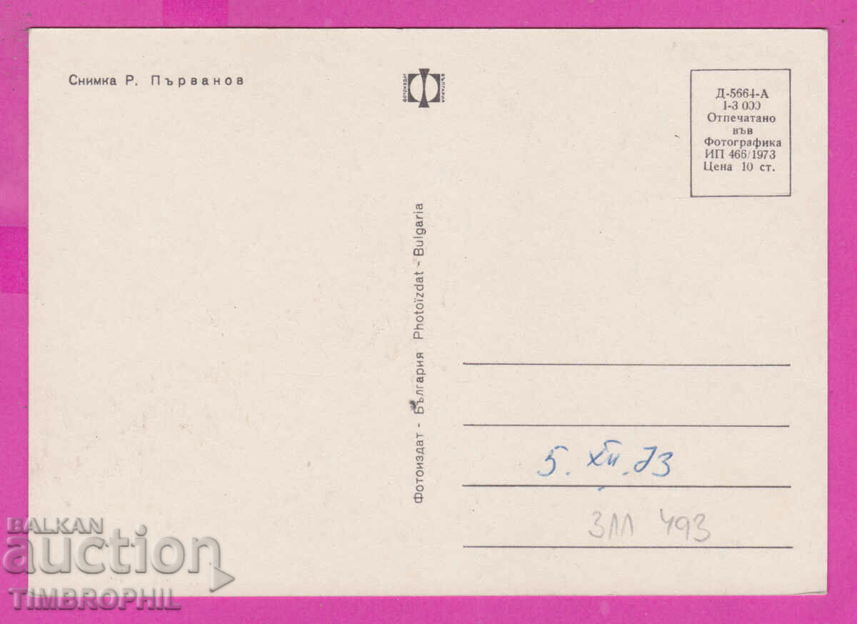 311493 / Tree with three stork nests 1973 PK Fotoizdat with price 1.60 BGN | € 0.82