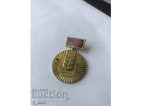 badge - For high work achievements - gold grain