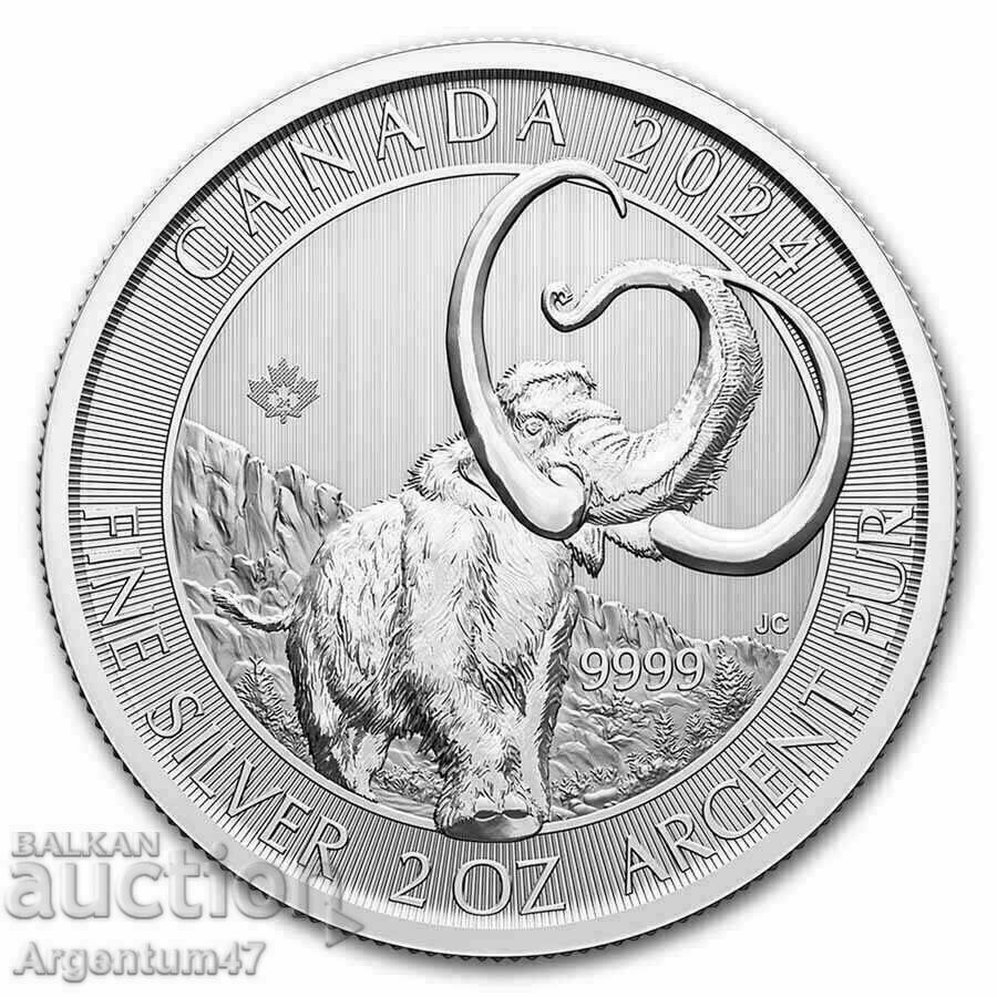 NOU!!! ARGINT 2 OZ 2024 CANADA - MAMUT