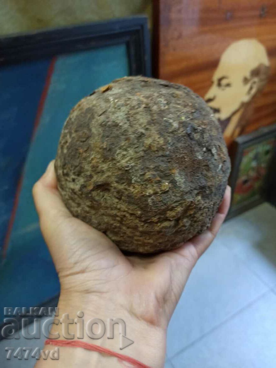 Livrarea FOARTE VECHI TUN URIAȘ -6 KG