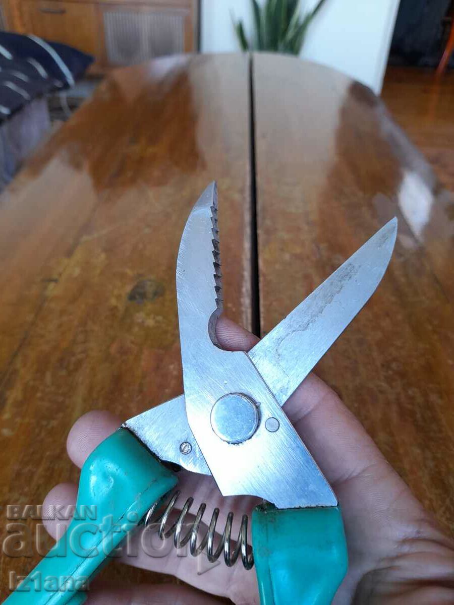 Stara Lozarska, ovoshtarska Nozhitsa, Nozhitsi - 7 Stara Lozarska, ovoshtarska Nozhitsa, Nozhitsi - 7