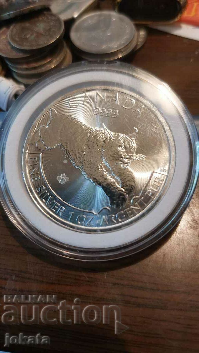 an ounce of silver