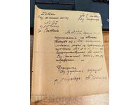 1924 PLEVEN CONSILIUL DE IGIENĂ DOCUMENT REGATUL BULGARIA