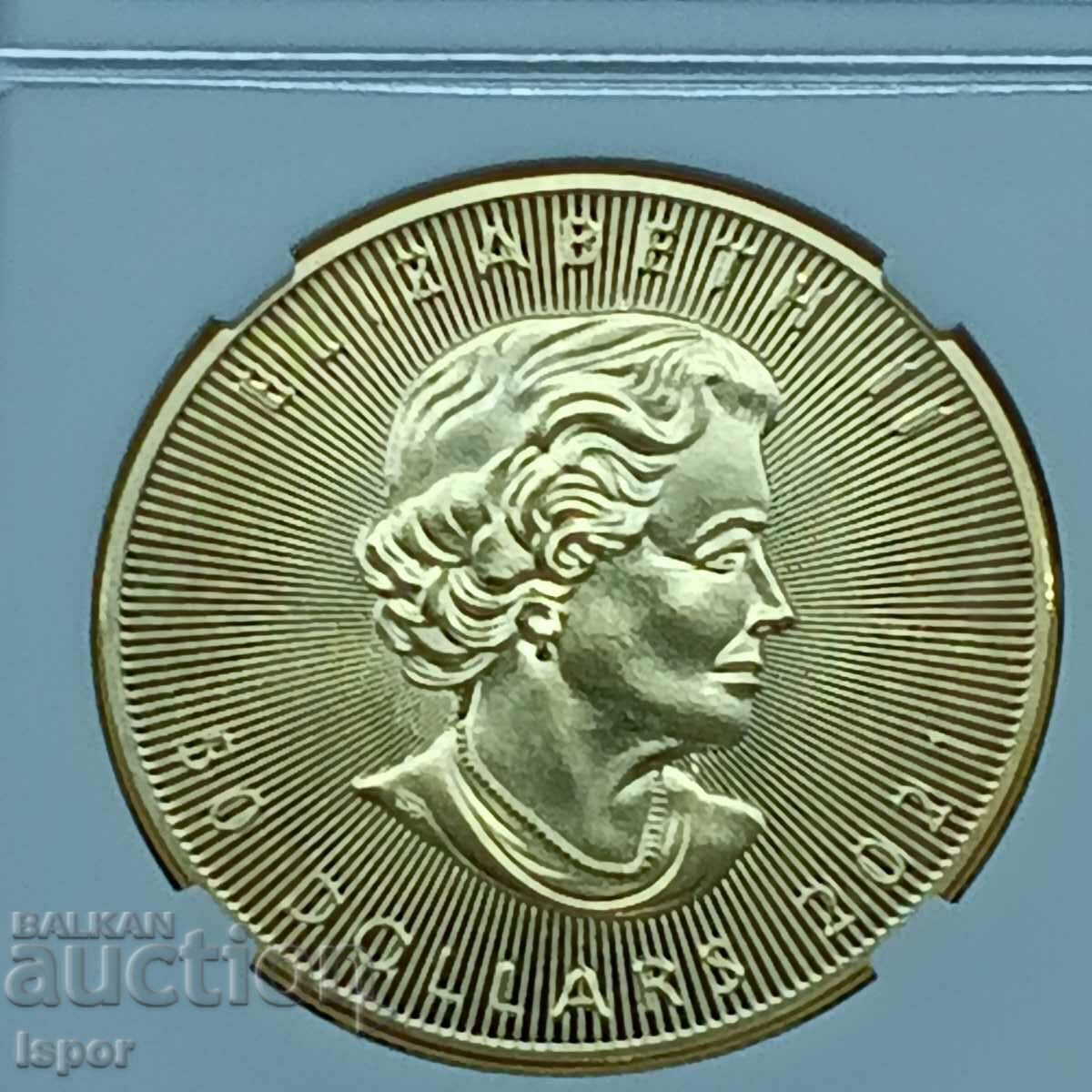 Canada sheet 2021 reads the description - 5 Canada sheet 2021 reads the description - 5